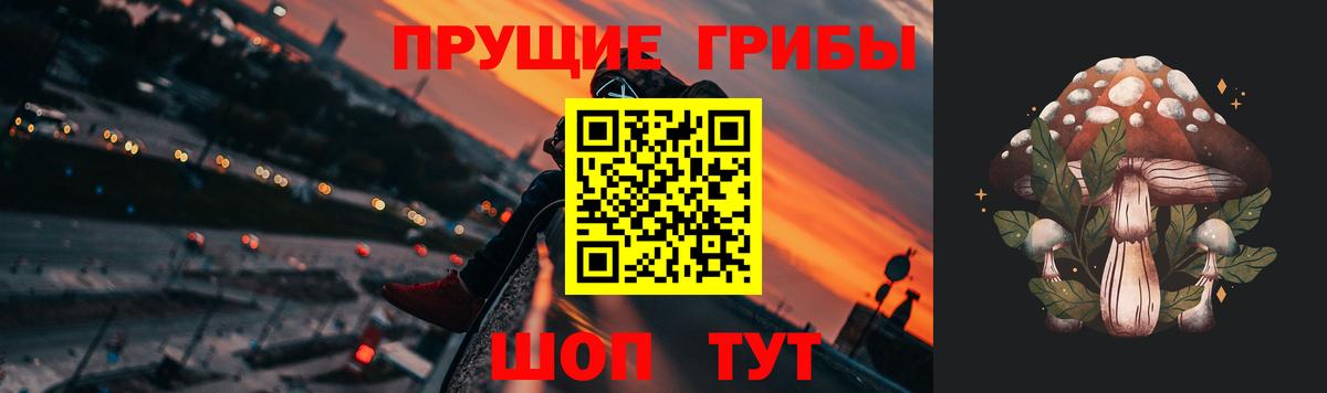 Павлово  Псилоцибиновые грибы GOLDEN TEACHER  закладки  Вход с VPN 